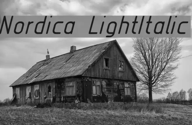 Nordica  LightItalic Font examples