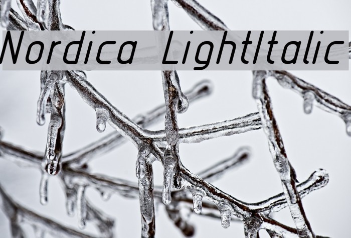 Nordica LightItalic Font examples
