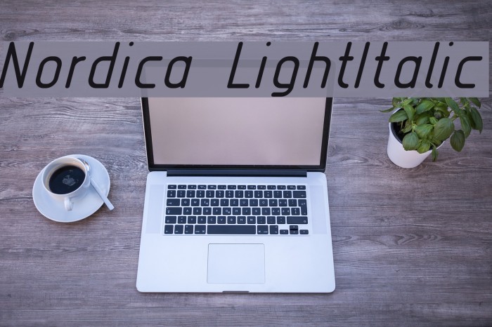 Nordica LightItalic Font examples