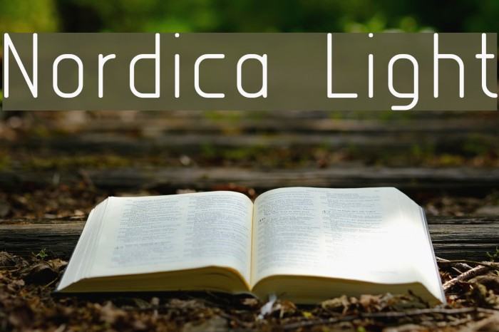 Nordica Light Font examples