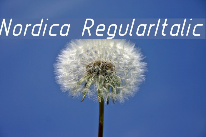Nordica RegularItalic Font examples