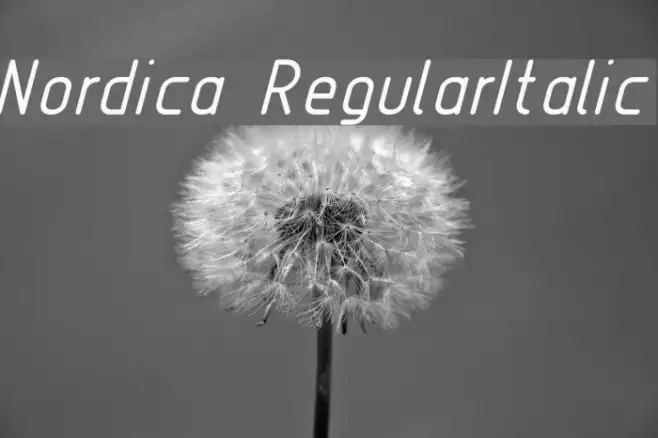Nordica  RegularItalic Example 3
