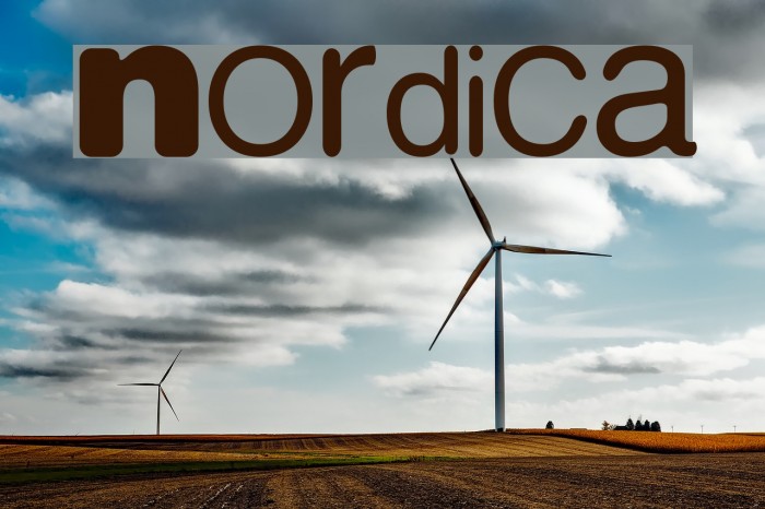 Nordica Example 1