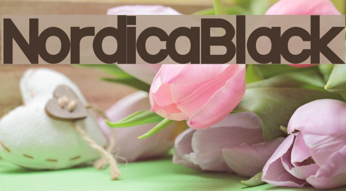 NordicaBlack फ़ॉन्ट examples