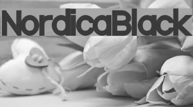 NordicaBlack Example 1
