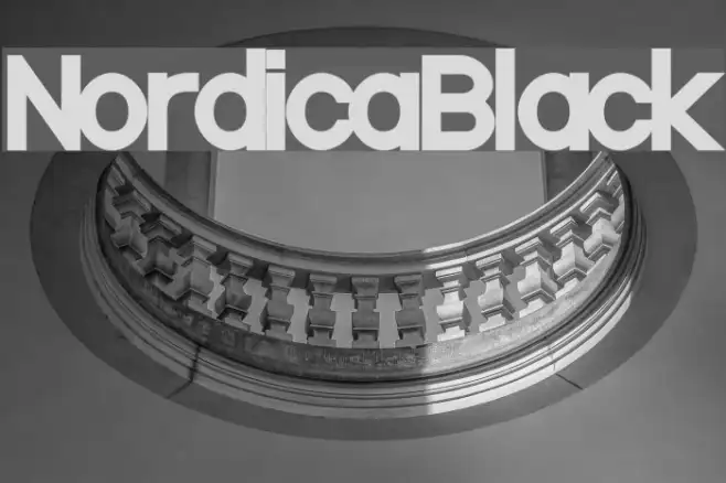 NordicaBlack Example 3