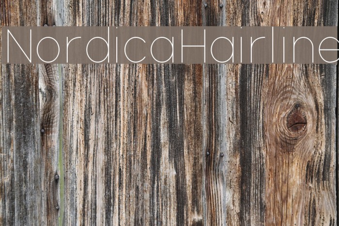 NordicaHairline Font examples