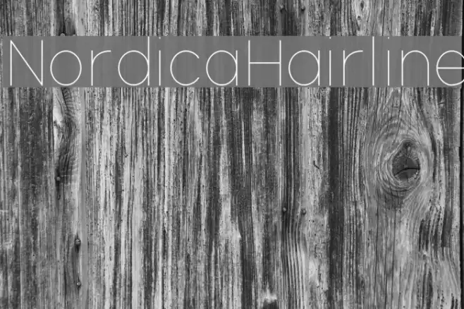 NordicaHairline Шрифта examples