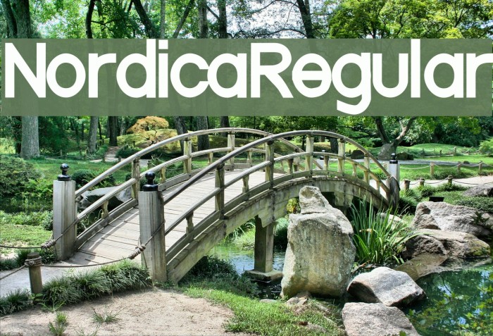 NordicaRegular Font examples