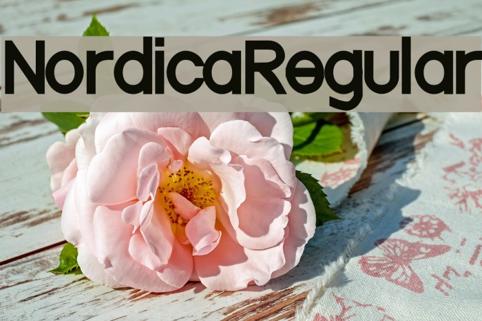 NordicaRegular Font examples