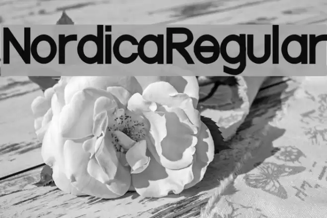 NordicaRegular फ़ॉन्ट examples