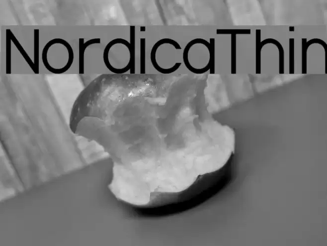 NordicaThin Font examples