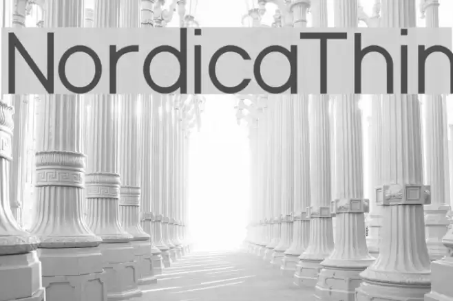 NordicaThin Font examples