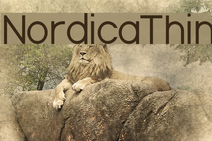 NordicaThin फ़ॉन्ट examples