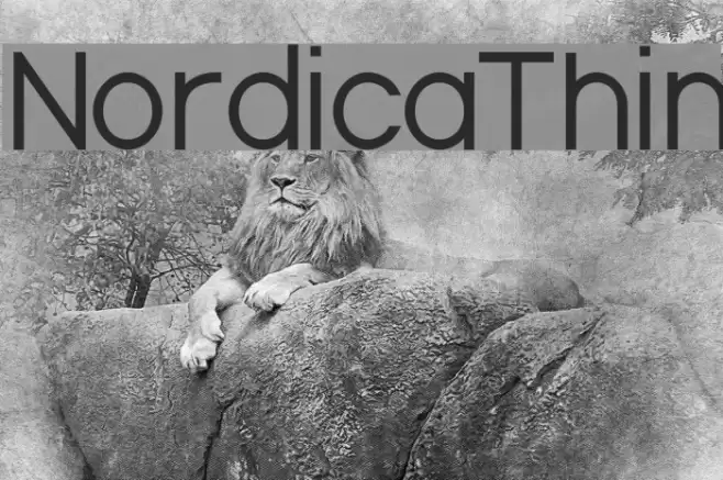 NordicaThin Font examples