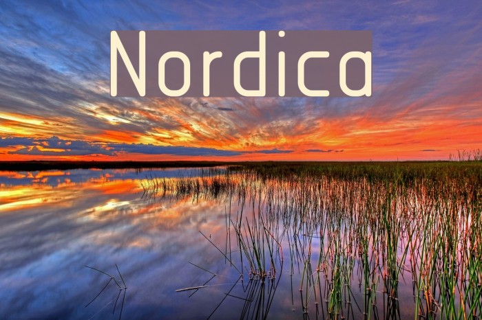 Nordica Font examples