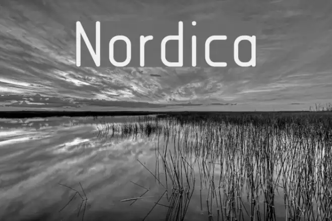 Nordica Example 1