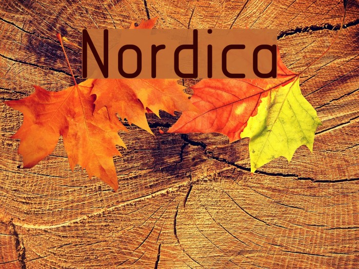 Nordica Font examples
