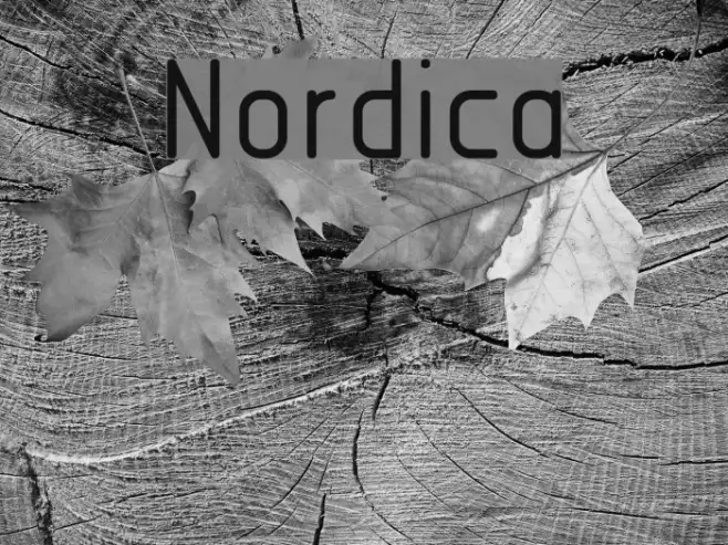 Nordica Example 3