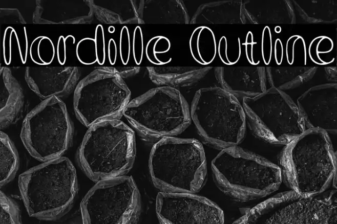 Nordille Outline Example 1
