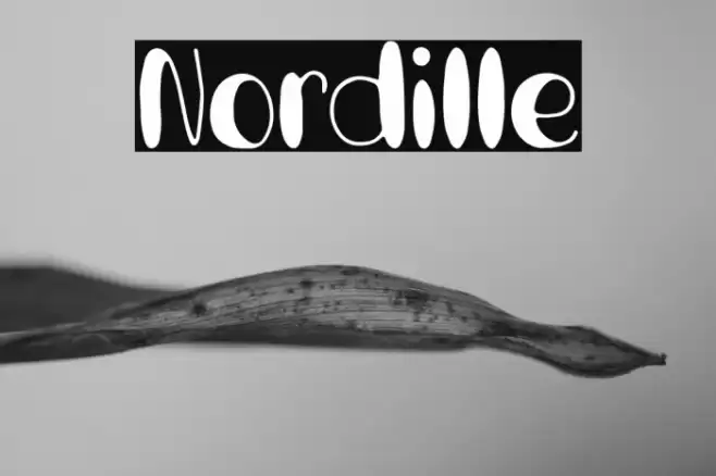 Nordille Font examples