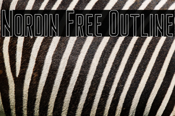 Nordin Free Outline Example 1