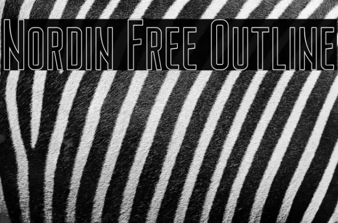 Nordin Free Outline Example 1