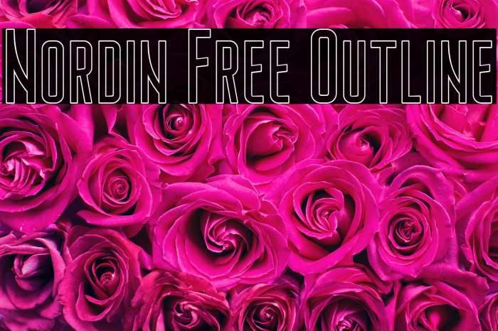 Nordin Free Outline Example 2