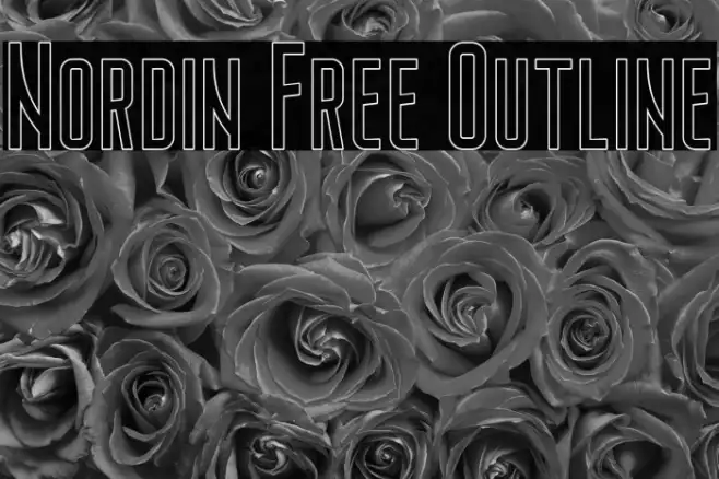 Nordin Free Outline Example 2