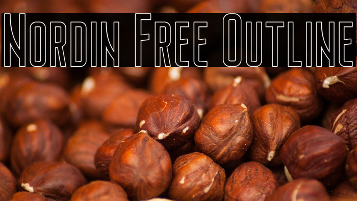 Nordin Free Outline Example 3