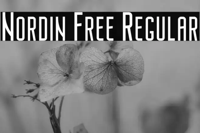 Nordin Free Regular Example 1
