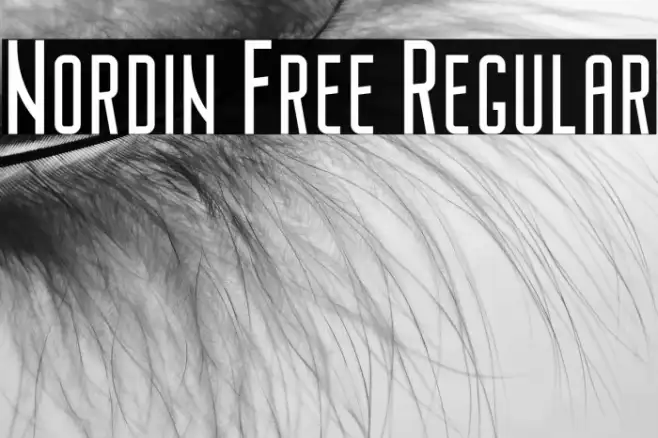 Nordin Free Regular Example 2