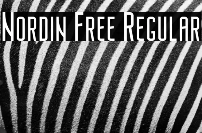 Nordin Free Regular Example 3