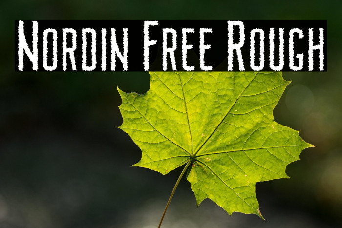 Nordin Free Rough Example 1