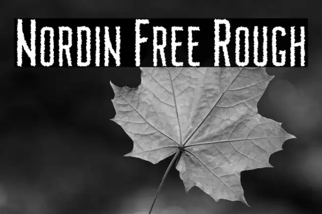 Nordin Free Rough Example 1