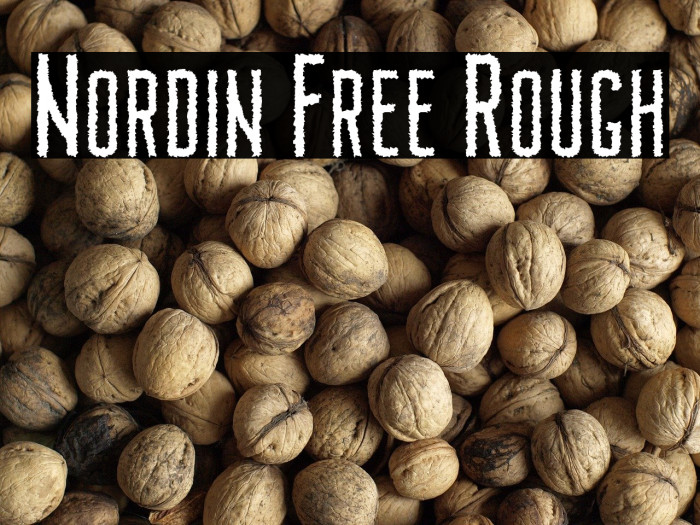 Nordin Free Rough Example 2