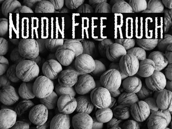 Nordin Free Rough Example 2