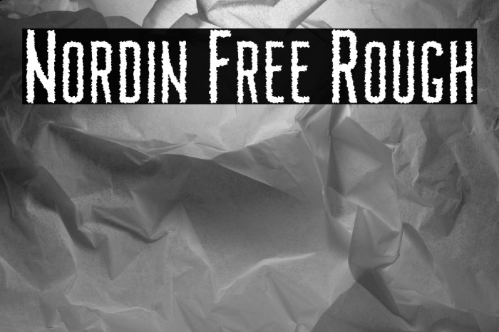 Nordin Free Rough Example 3