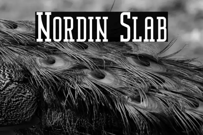 Nordin Slab Example 1