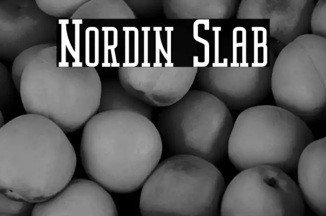 Nordin Slab Example 3