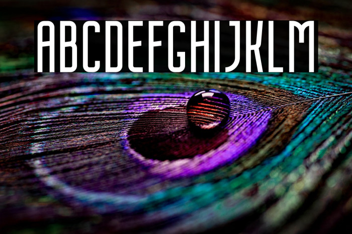 NordinFree-Regular Example 1