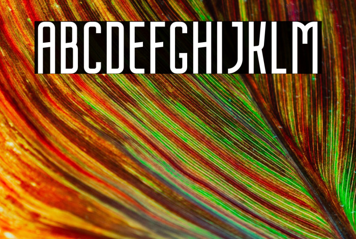 NordinFree-Regular Example 2