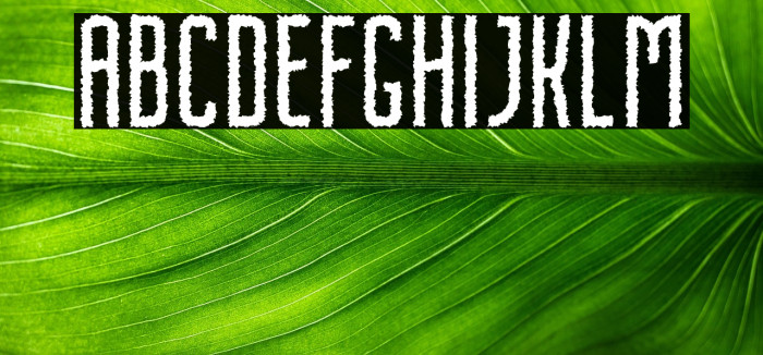 NordinFree-Rough Example 1