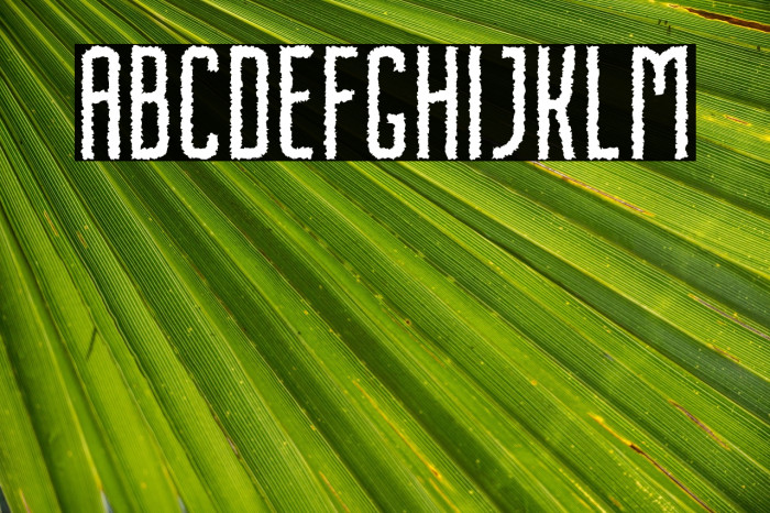 NordinFree-Rough Example 2