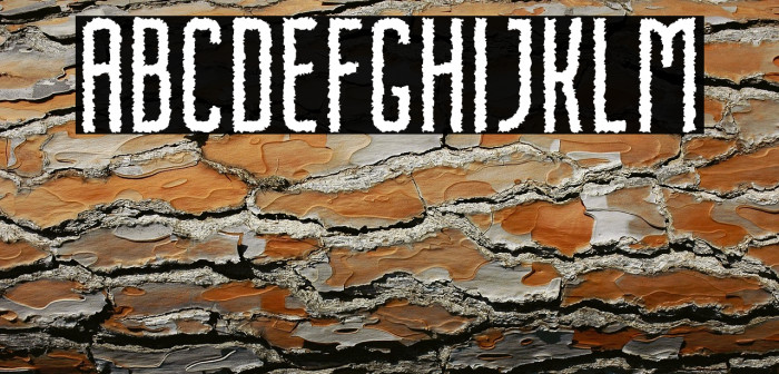 NordinFree-Rough Example 3