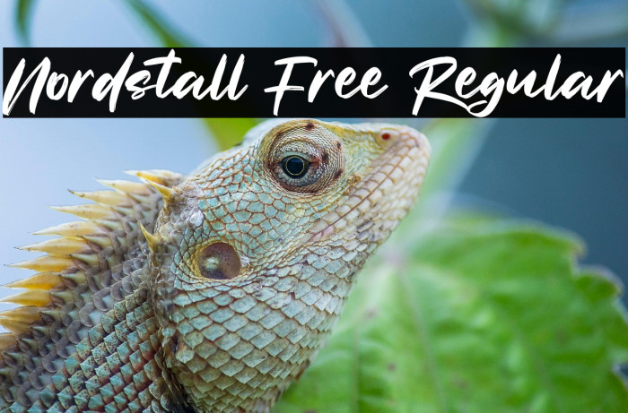 Nordstall Free Regular Example 1