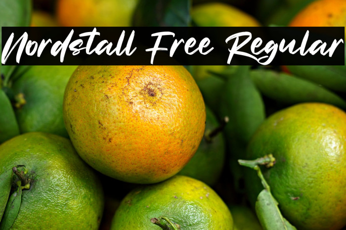 Nordstall Free Regular Example 2