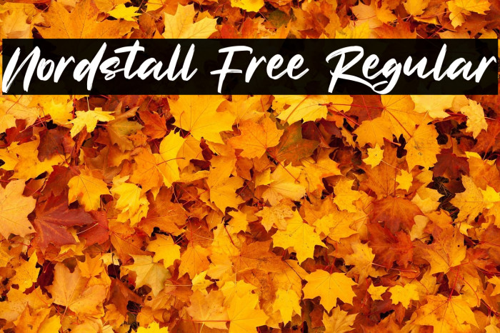 Nordstall Free Regular Example 3