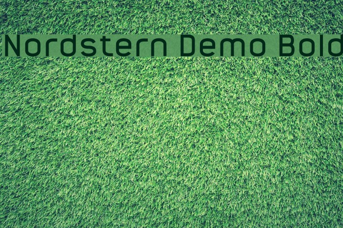 Nordstern Demo Bold Example 1