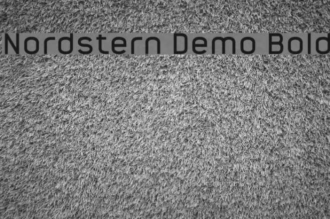 Nordstern Demo Bold Font examples